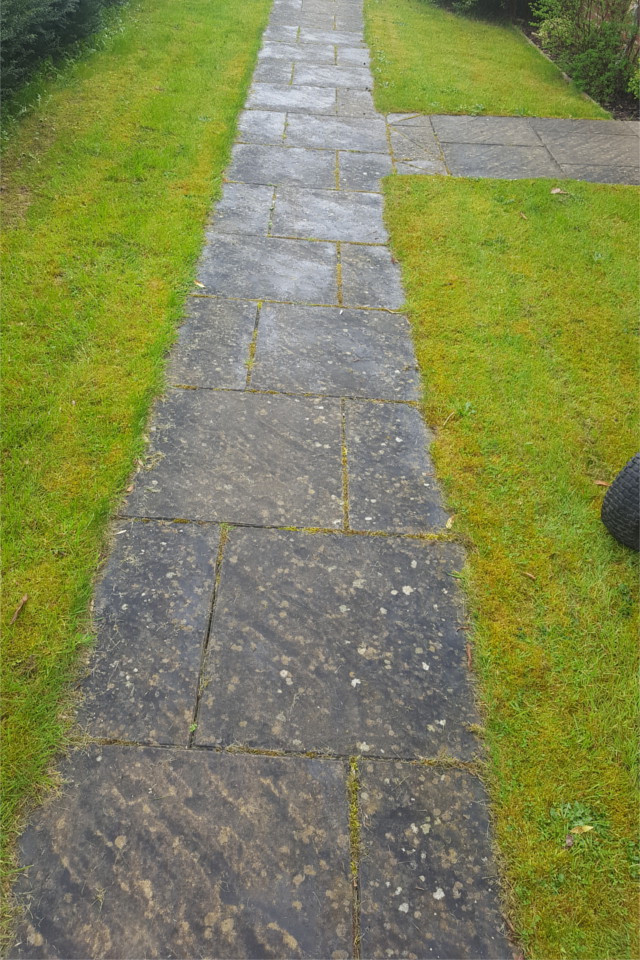 Garden Path Before Cleaning